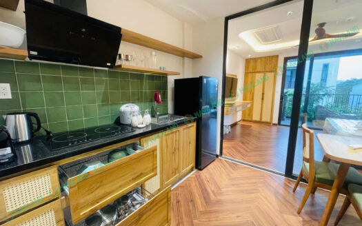 CĂN HỘ CAO CẤP! 1PN VIEW PHỐ – PHƯỚC TRƯỜNG 3